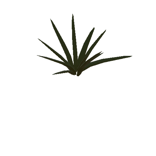 Plant 6_1